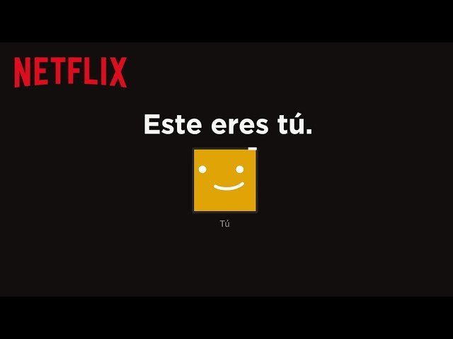 NETFLIX PERFIL EXTRA PRIVADO
